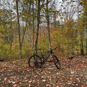 Meet your Posher, Jackson